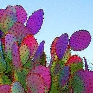 Meet your Posher, Beatriz yadira